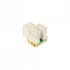 JACK-RJ45-CAT5E-KEYSTONE-BEGE-FÊMEA-(I)-0